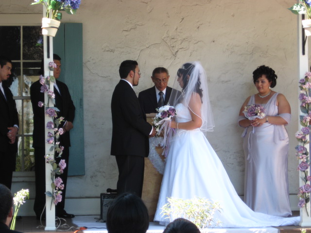 617x456 pixels (100K)